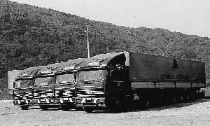 Il parco camion negli anni '70-'80